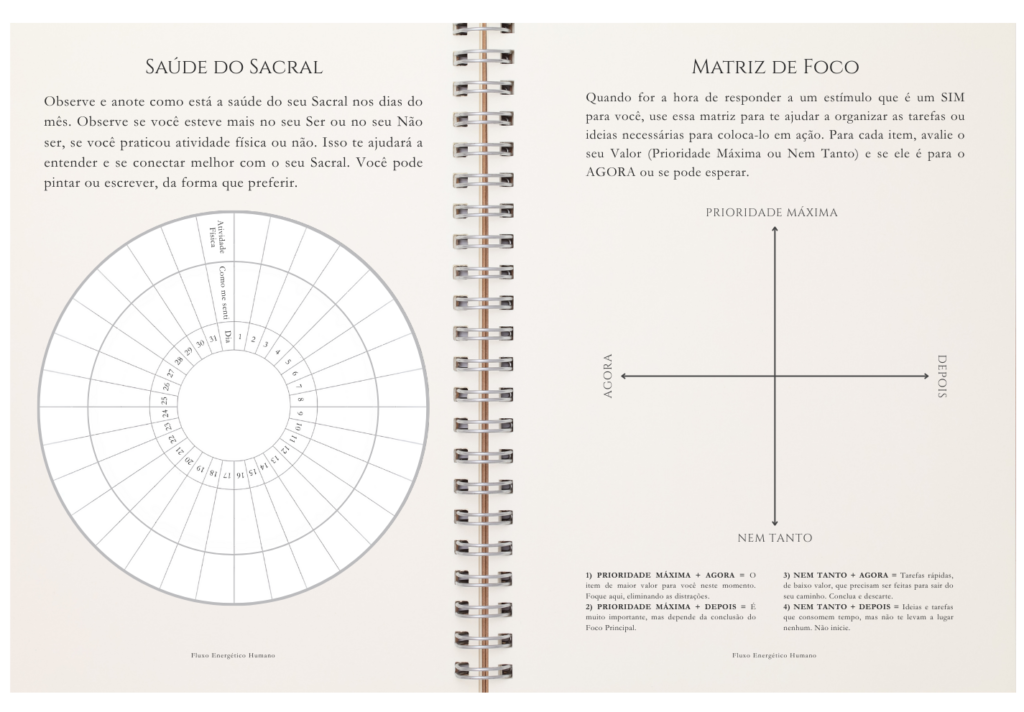 Fluxo da Vida - Gerador Manifestador