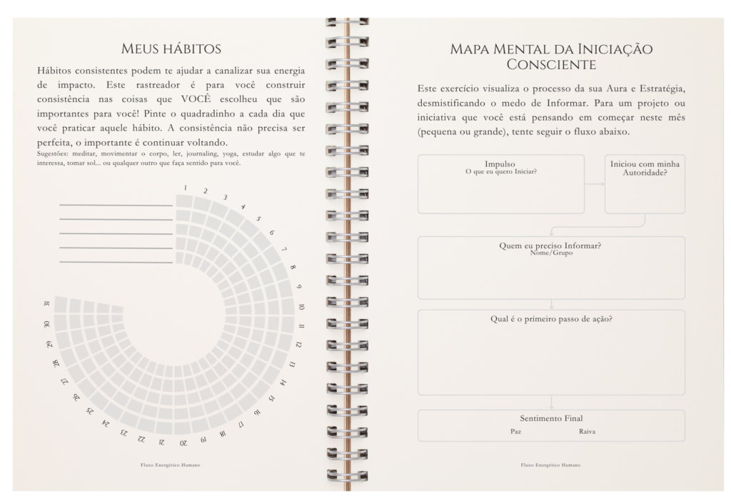 Fluxo da Vida Manifestador