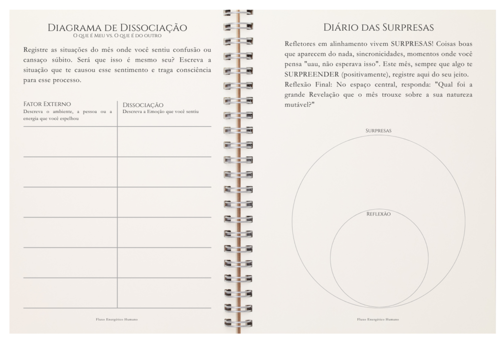 Fluxo da Vida - Refletor