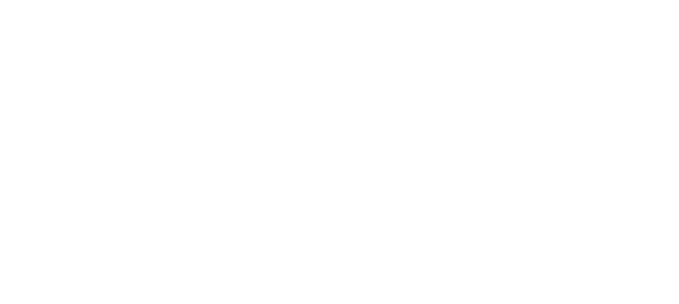 Fluxo da Vida