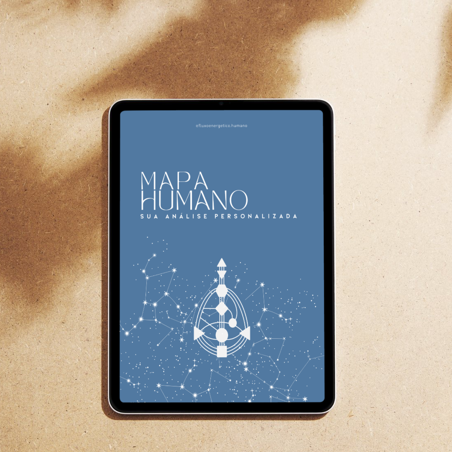 Mapa Humano